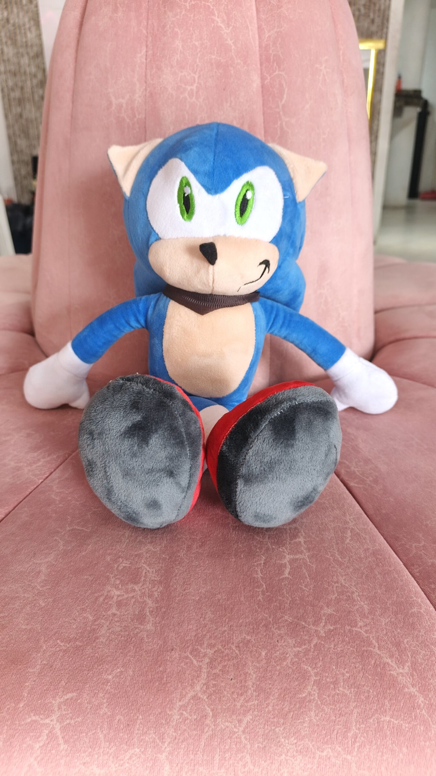 Peluche “Sonic”