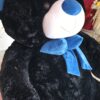 Oso Gigante Negro con Lazo Azul